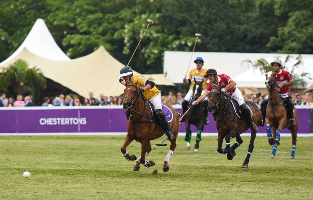 Polo_in_the_park